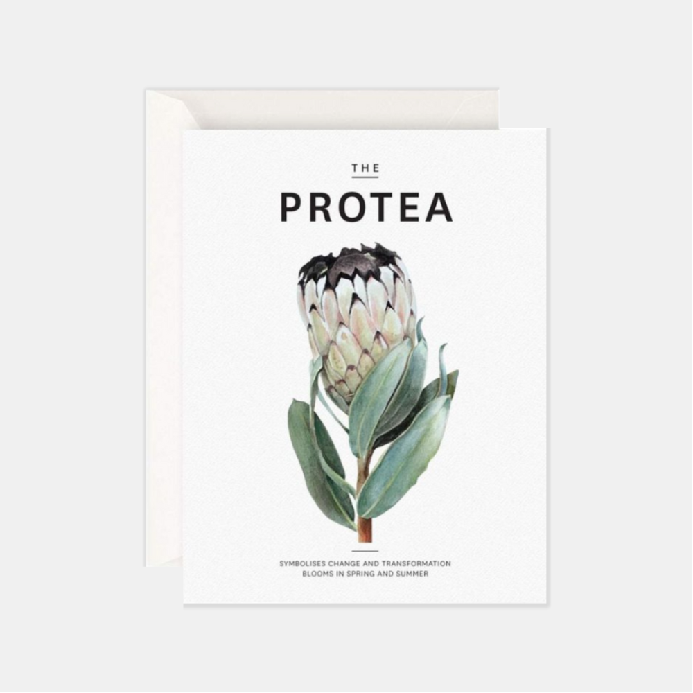 Father Rabbit | The Protea Card | Shut the Front Door