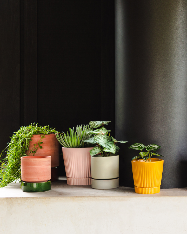 Garcia | Grace Planter Medium - Rose Terracotta & Olive | Shut the Front Door