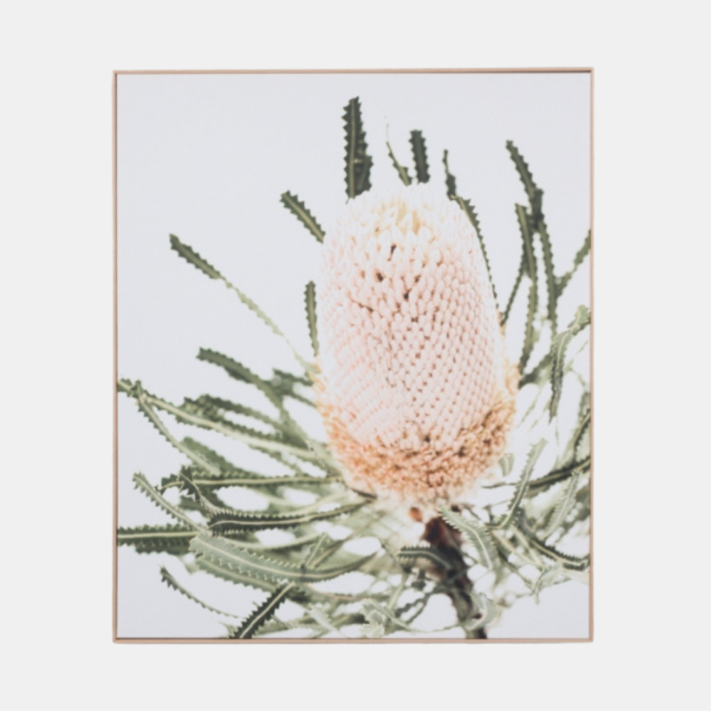 Middle of Nowhere | Framed Canvas Banksia | Shut the Front Door