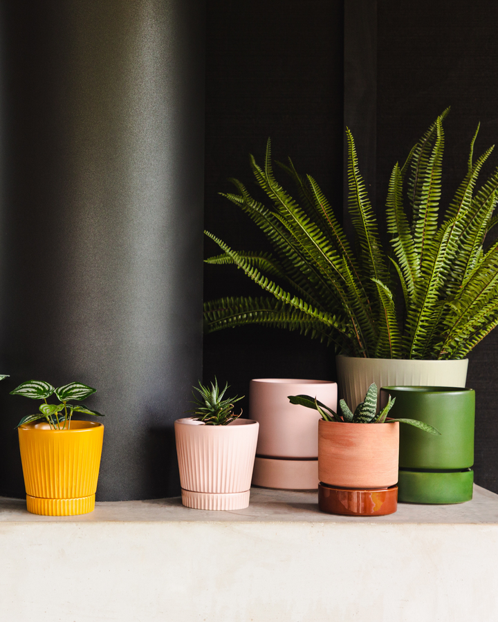 Garcia | Billie Planter Medium - Dusty Rose | Shut the Front Door