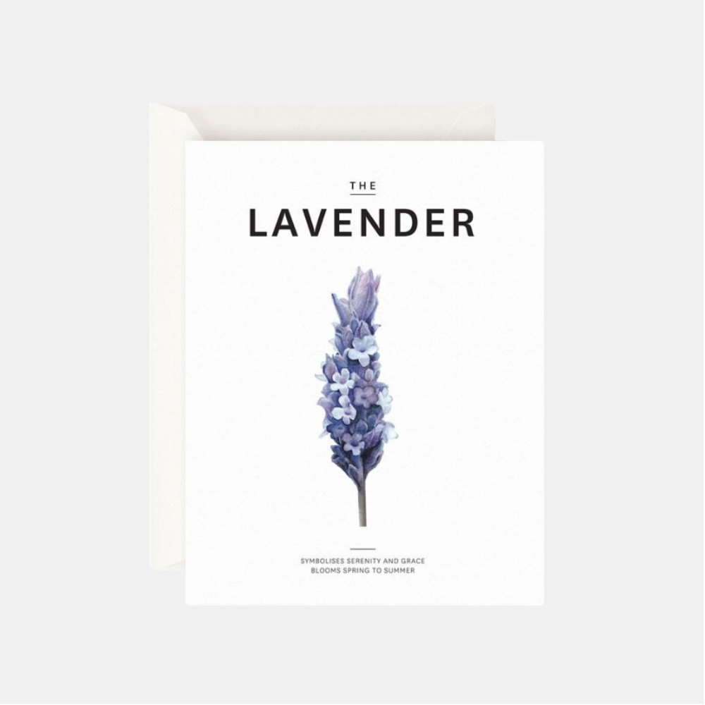 Father Rabbit | The Lavender Card | Shut the Front Door