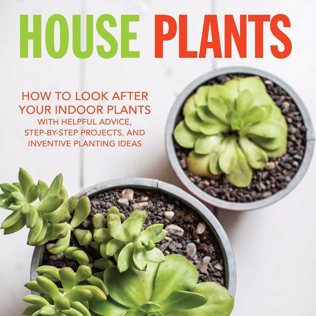 Not specified | House Plants - How to Look After Your Indoor Plants | Shut the Front Door