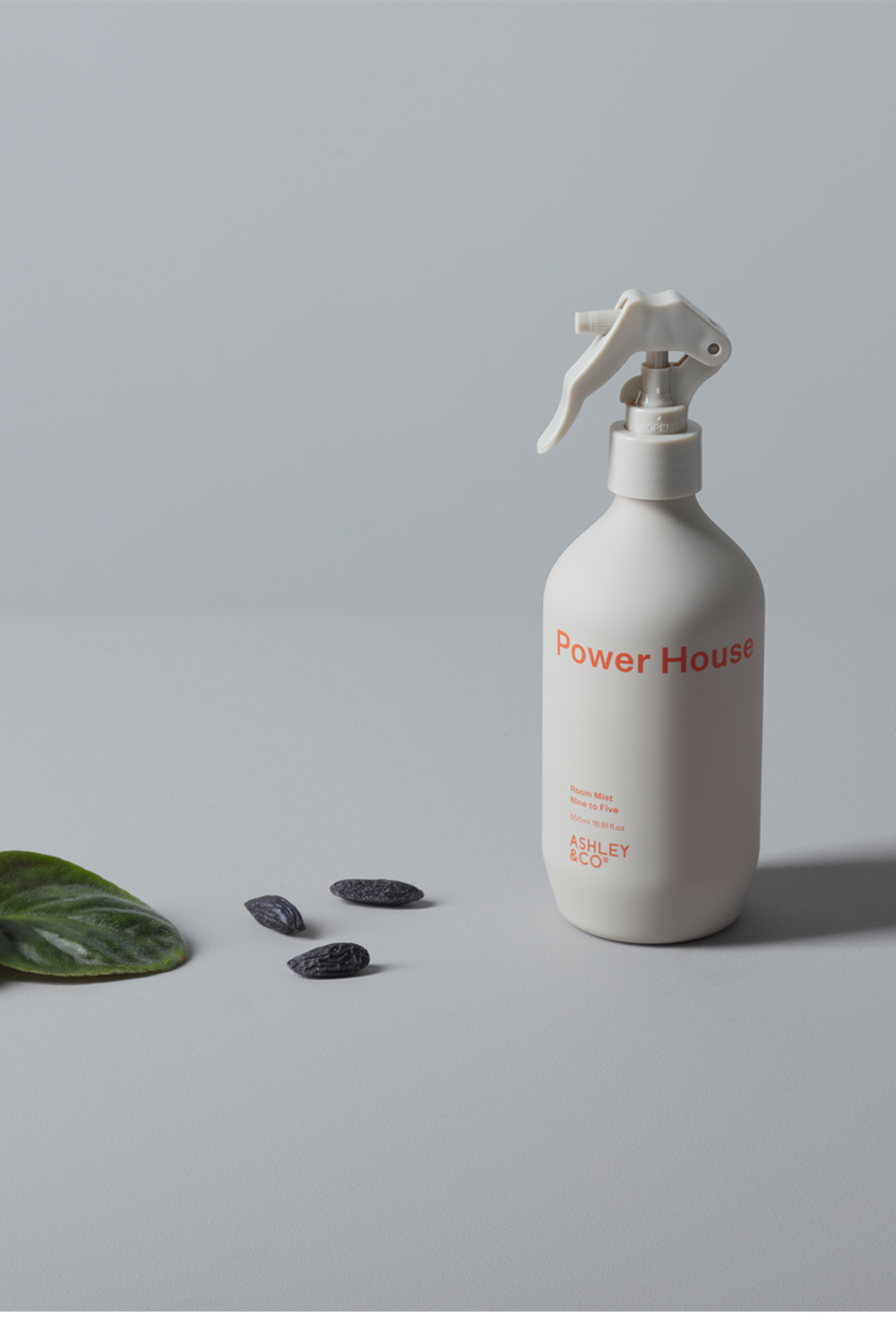 Ashley & Co | Power House Room Mist - Nine to Five 500mls | Shut the Front Door