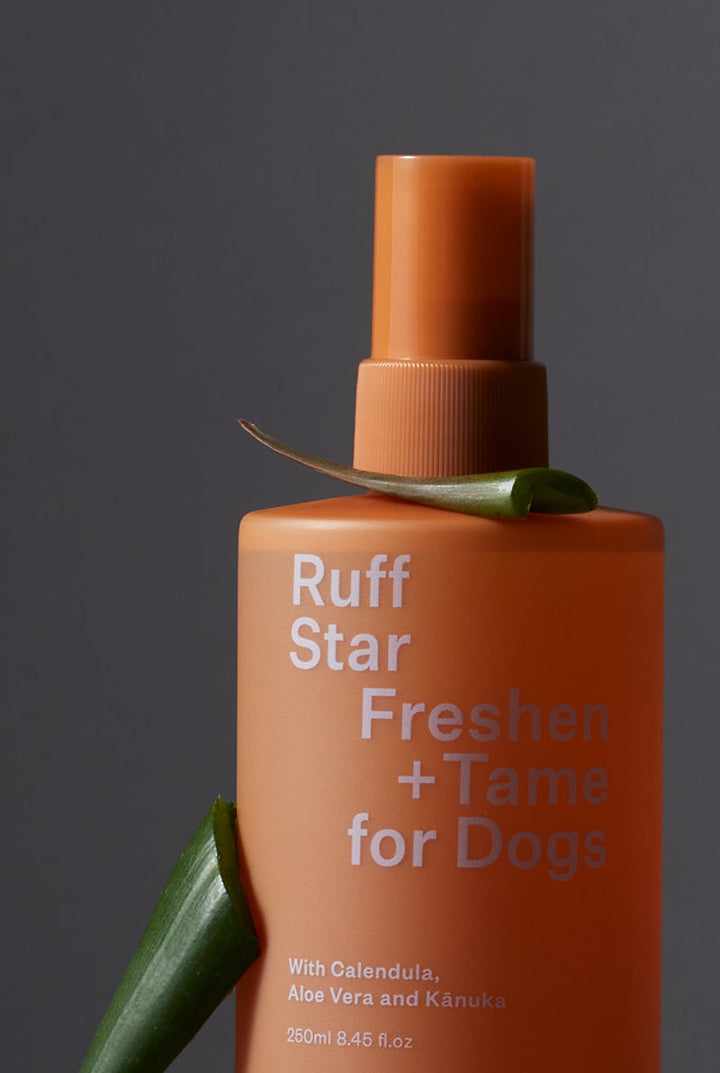 Ashley & Co | A&Co  Ruff Star Freshen + Tame | Shut the Front Door