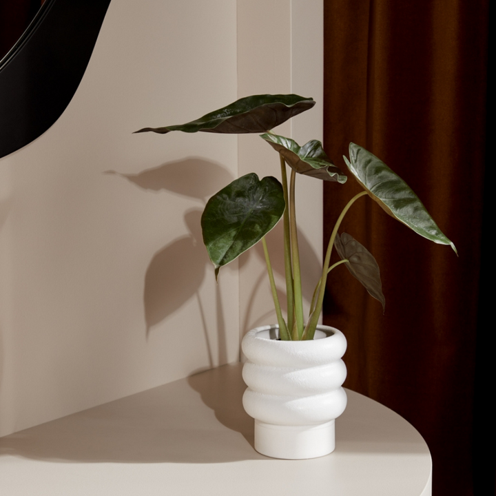 Middle of Nowhere | Alder Planter Small - Snow | Shut the Front Door