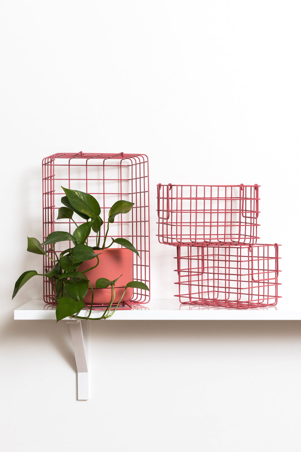 Mustard | Basket Large - Berry | Shut the Front Door