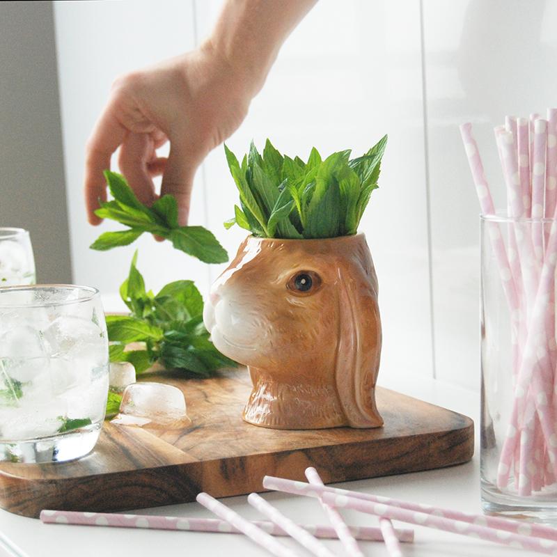 White Moose | Ceramic Planter - Bunny | Shut the Front Door