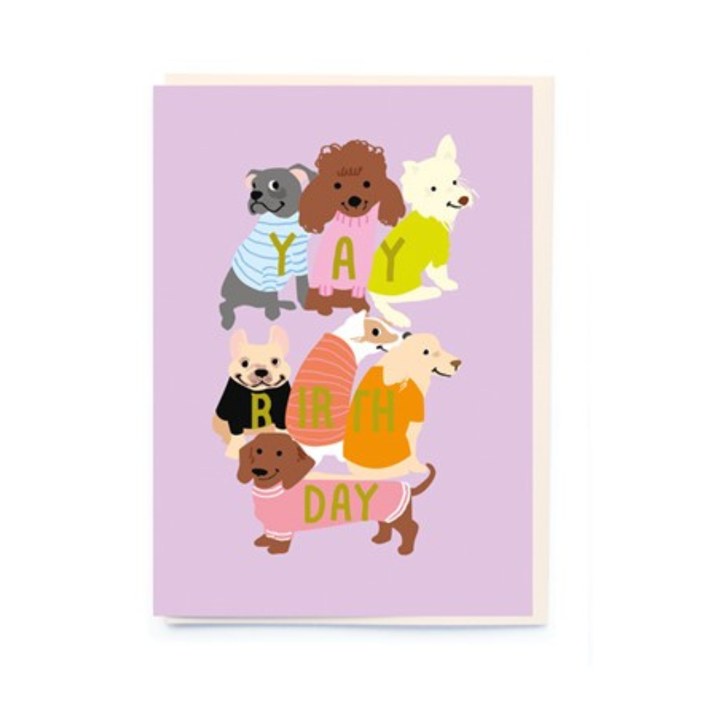 Noi | Card Dogs in Letter Jumpers | Shut the Front Door