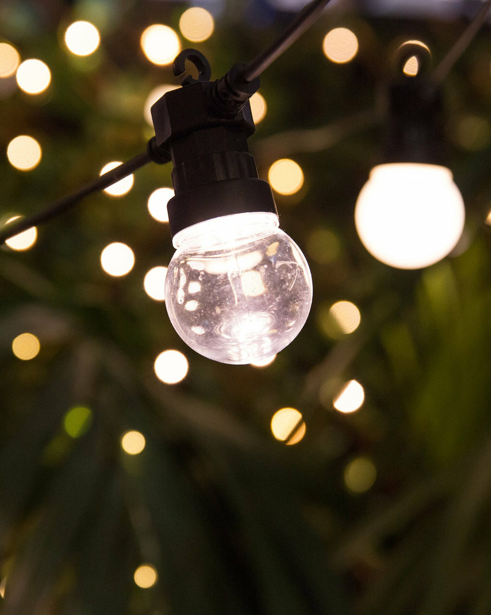 Stellar Haus | Festoons Sphere Twinkle 5m  - Black | Shut the Front Door