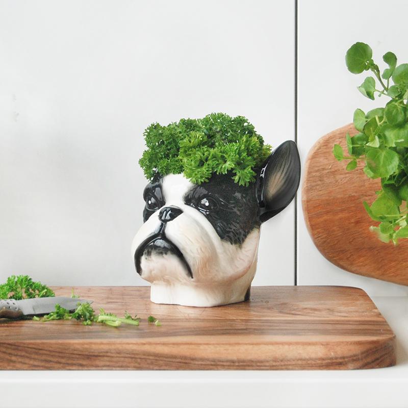 White Moose | Ceramic Planter - Frenchie | Shut the Front Door