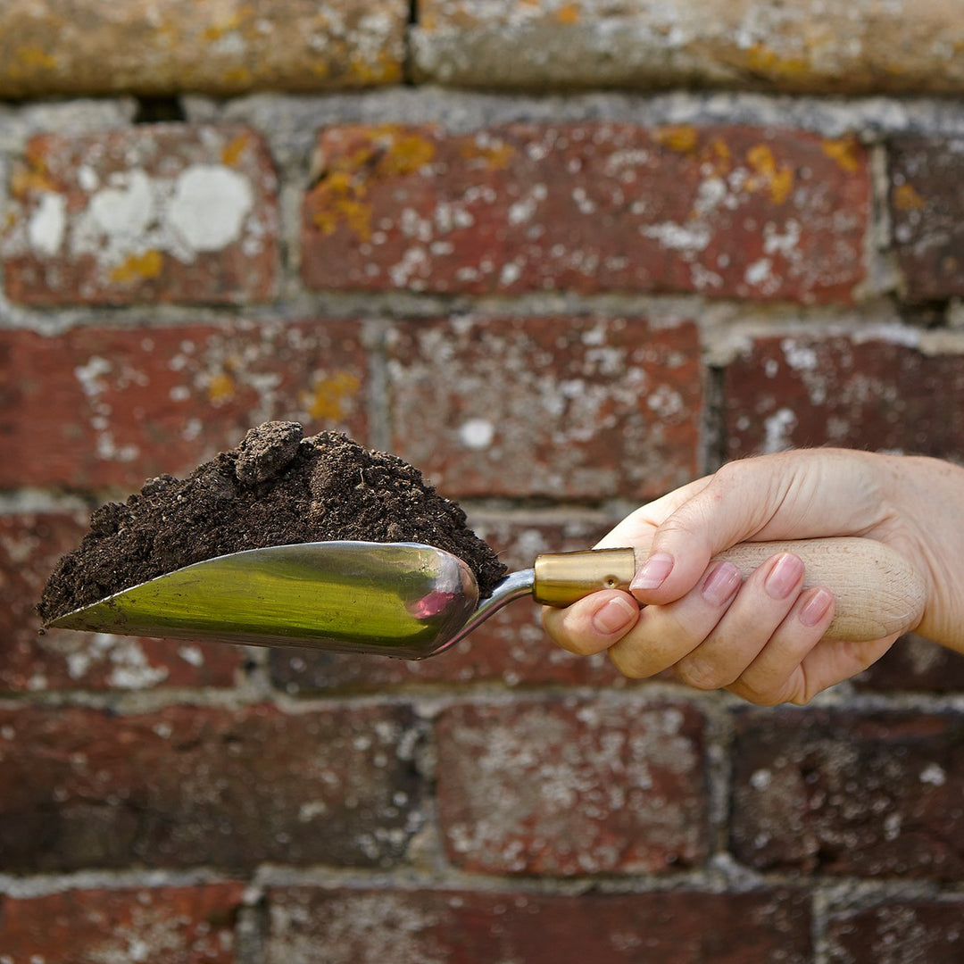 Burgon & Ball | Sophie Conran - Garden Trowel (boxed) | Shut the Front Door