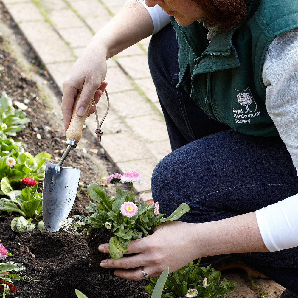 Burgon & Ball | RHS Stainless Hand Trowel | Shut the Front Door