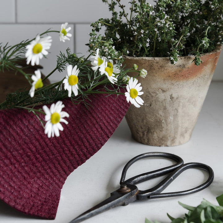 Good Change Store | Coloured Cloths - Pinot | Shut the Front Door
