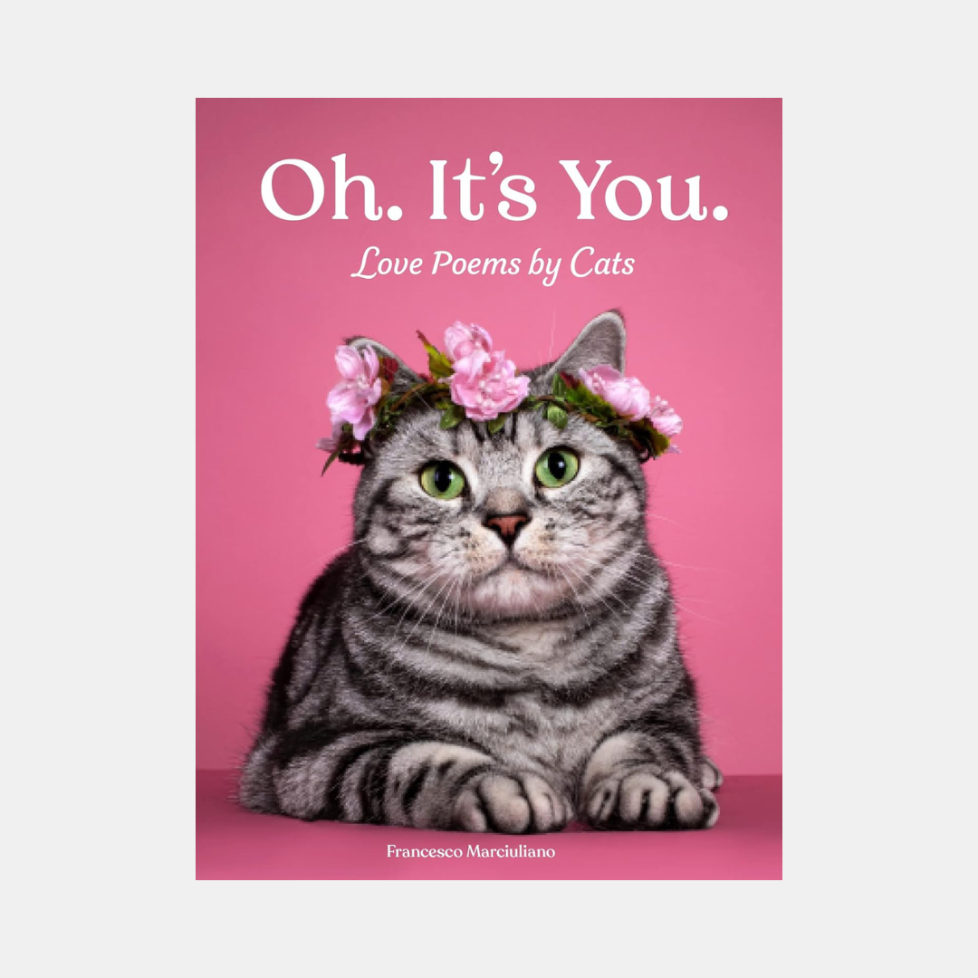 Chronicle Books | Oh It's You | Shut the Front Door