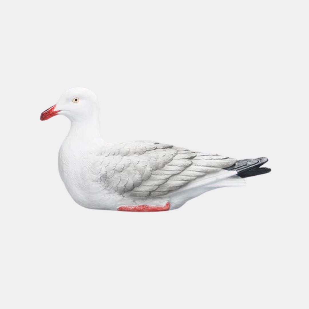 White Moose | Seagull - Natural | Shut the Front Door