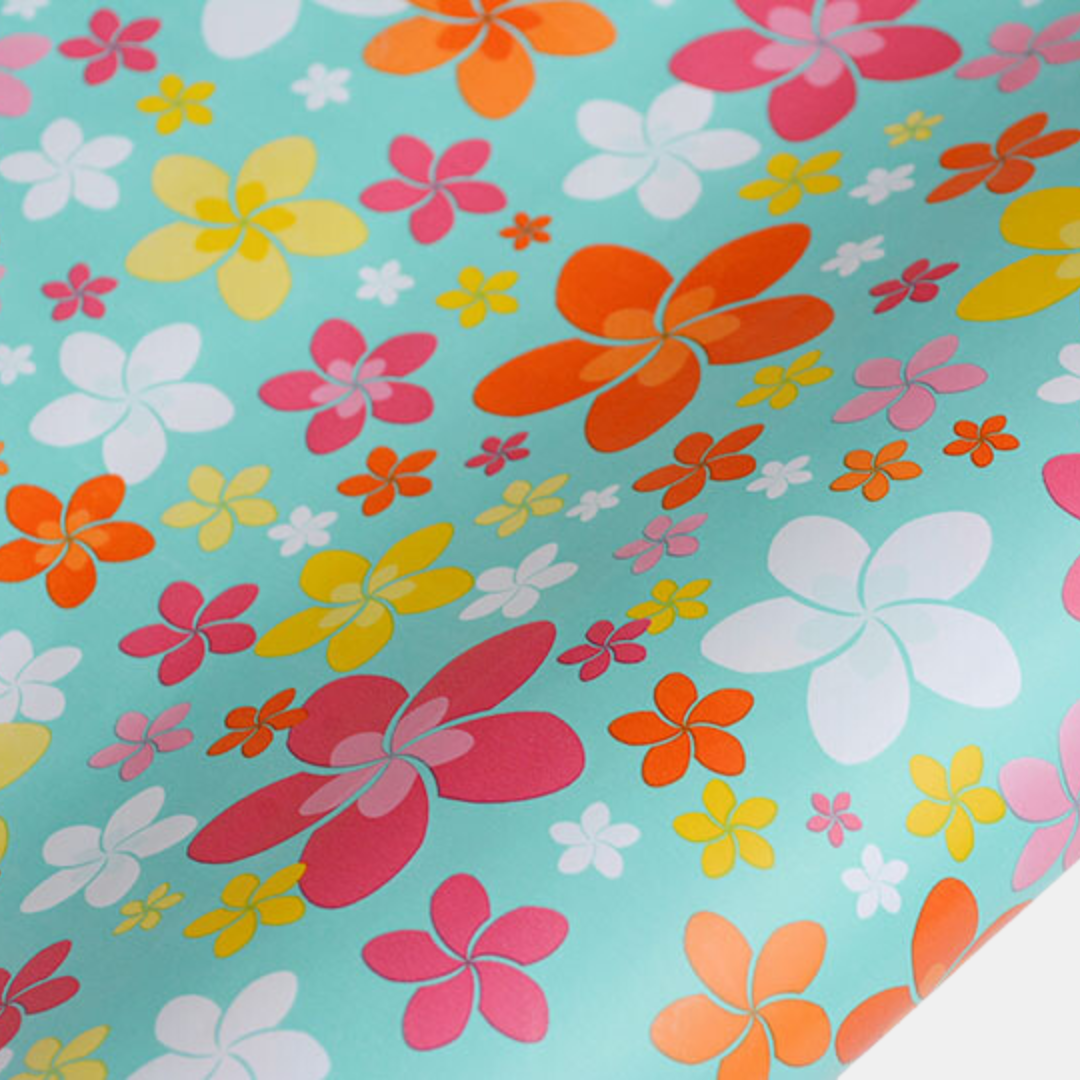 hiPP | Rollwrap Sweet Frangipani Brights | Shut the Front Door