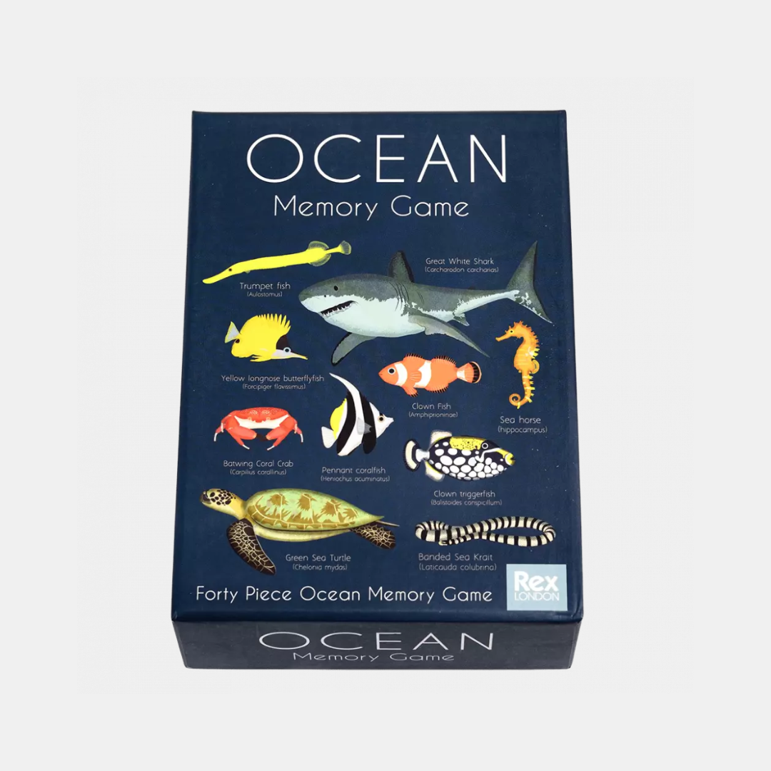 Rex London | Ocean Memory Game | Shut the Front Door