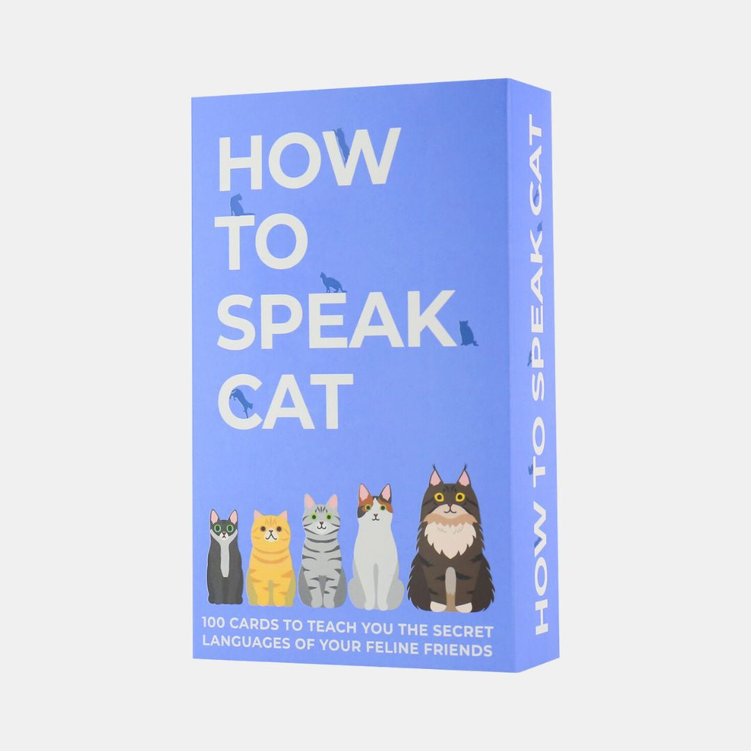 Gift Republic | How to Speak Cat | Shut the Front Door