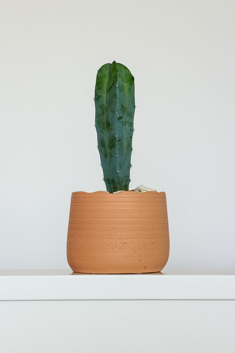 Garcia | Roman Planter Medium - Light Terracotta | Shut the Front Door