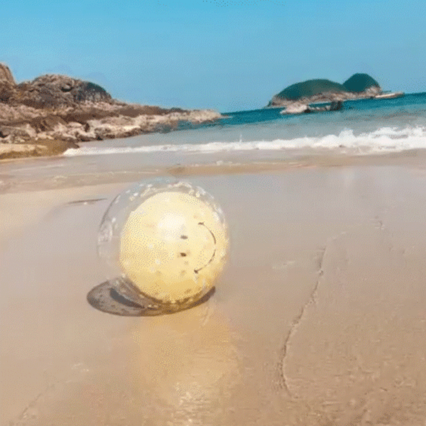 Sunnylife | Inflatable Beach Ball - Smiley | Shut the Front Door