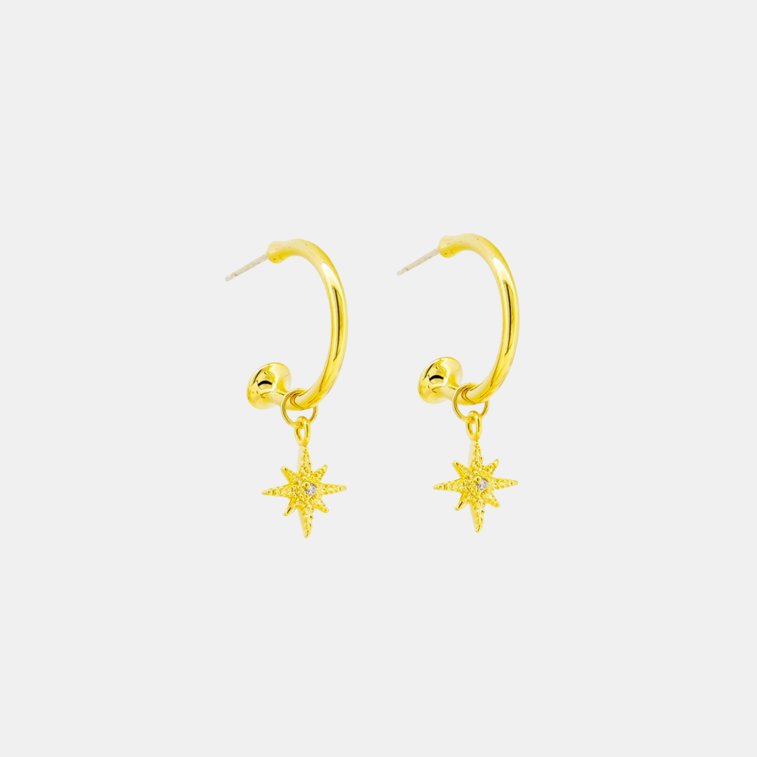 Tiger Tree | Gold North Star Hoop | Shut the Front Door
