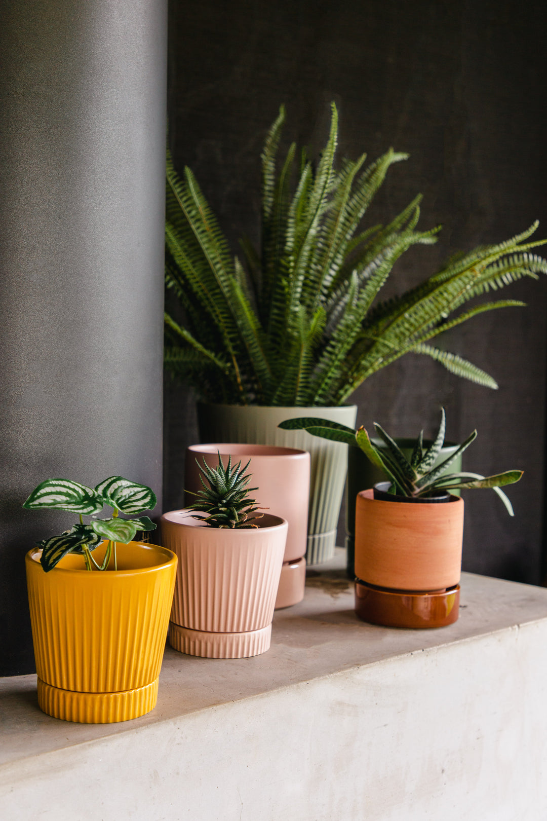 Garcia | Indie Planter Medium - Dusty Rose | Shut the Front Door