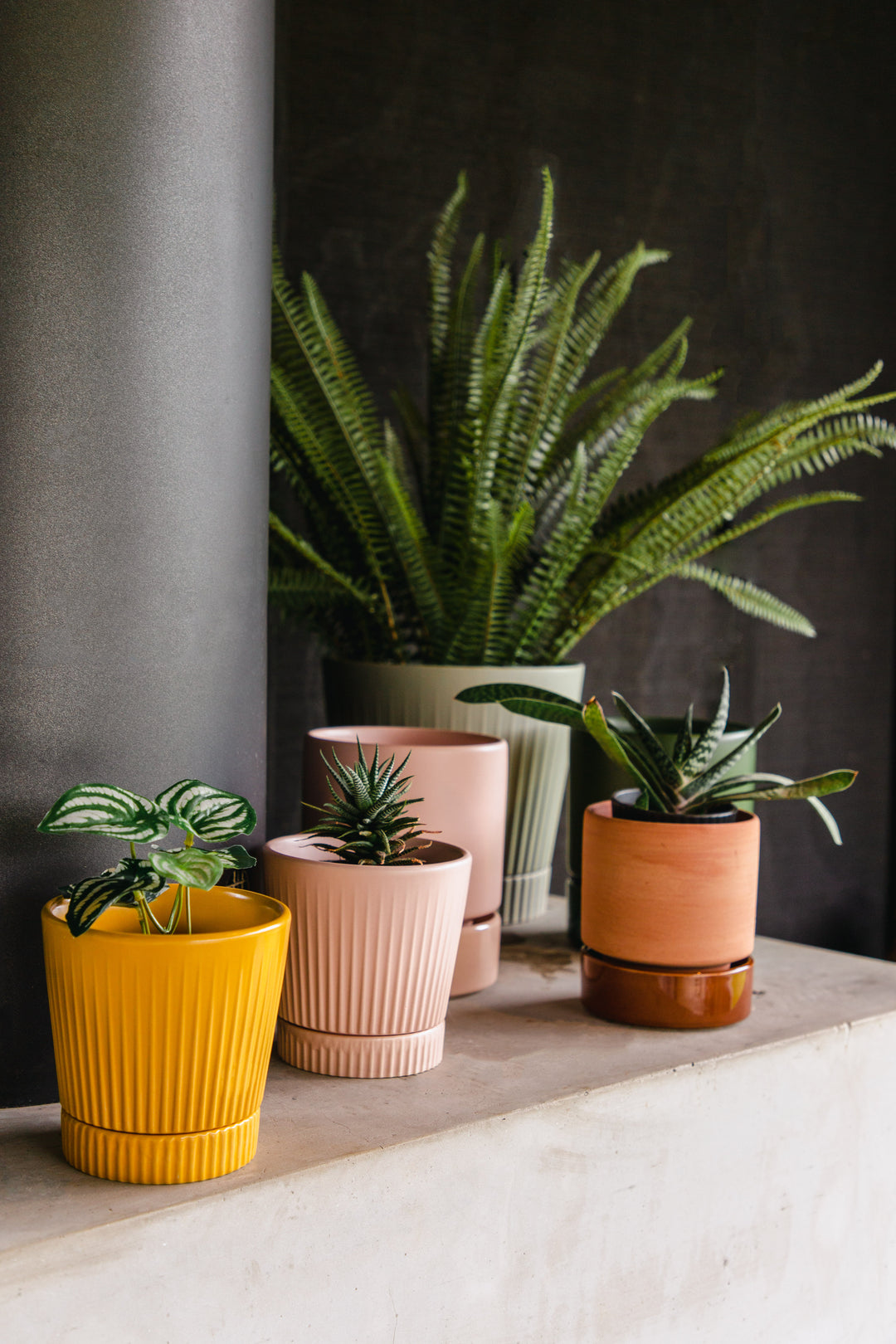 mustard indoor plant pot Indie Planter Medium - Mustard | Garcia Home