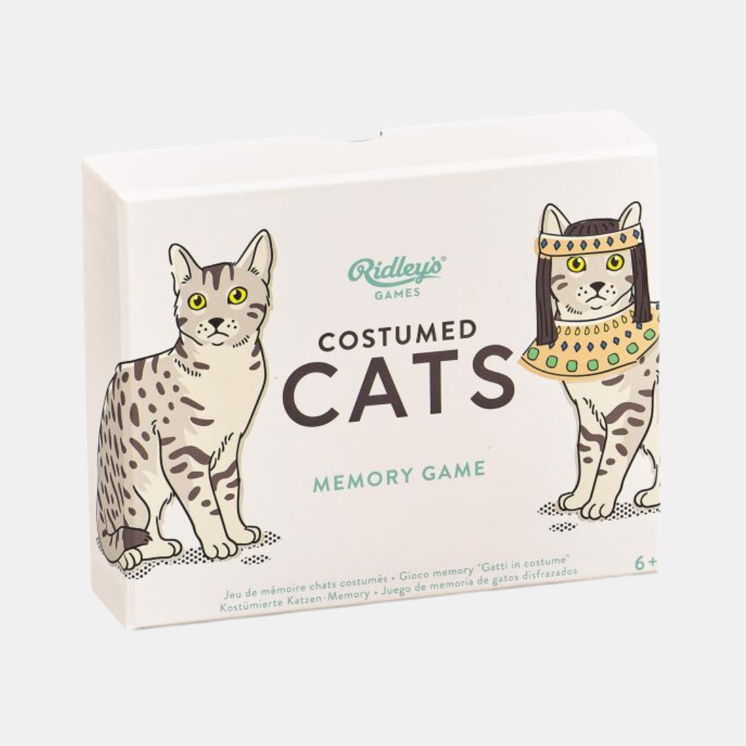 Ridleys | Costumed Cat Memory Game | Shut the Front Door