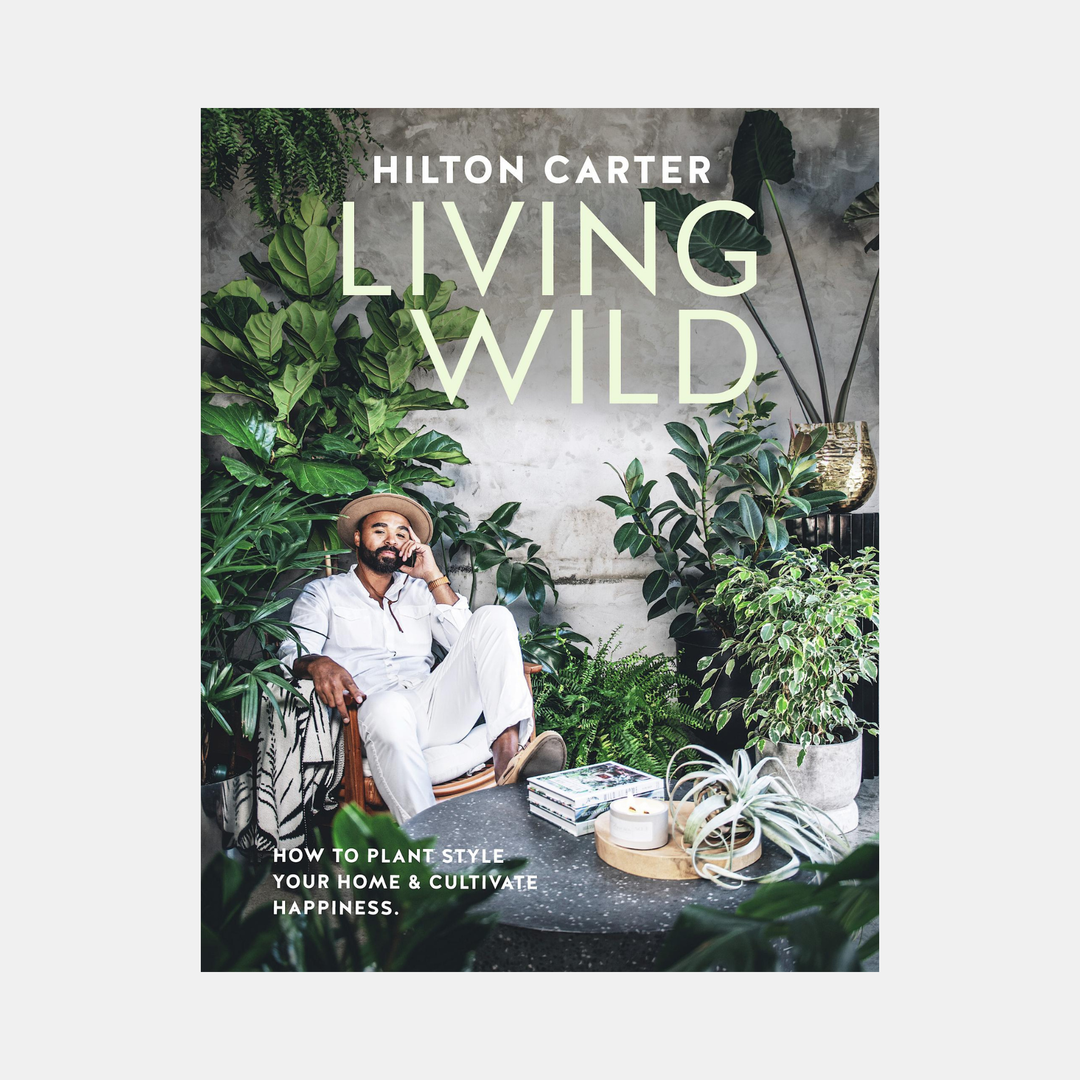 CICO | Living Wild | Shut the Front Door