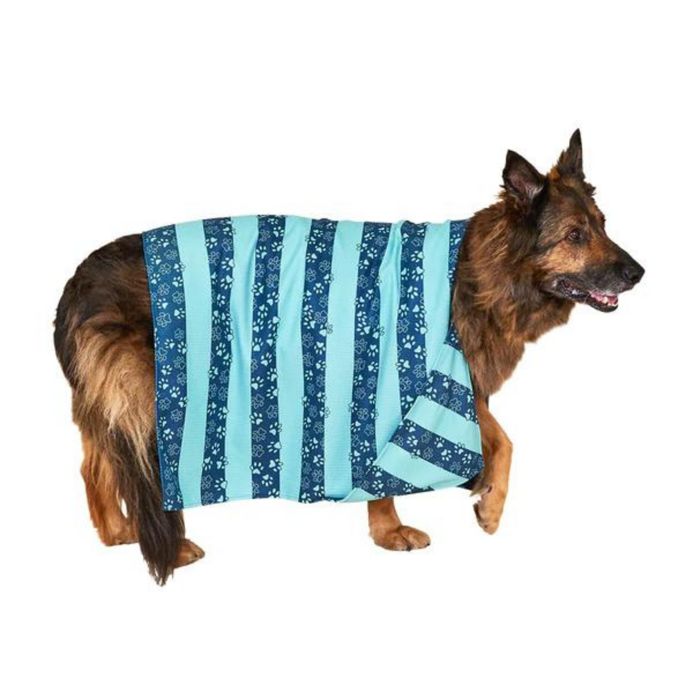 Dock & Bay | Dog Towel Large - Dog Days | Shut the Front Door