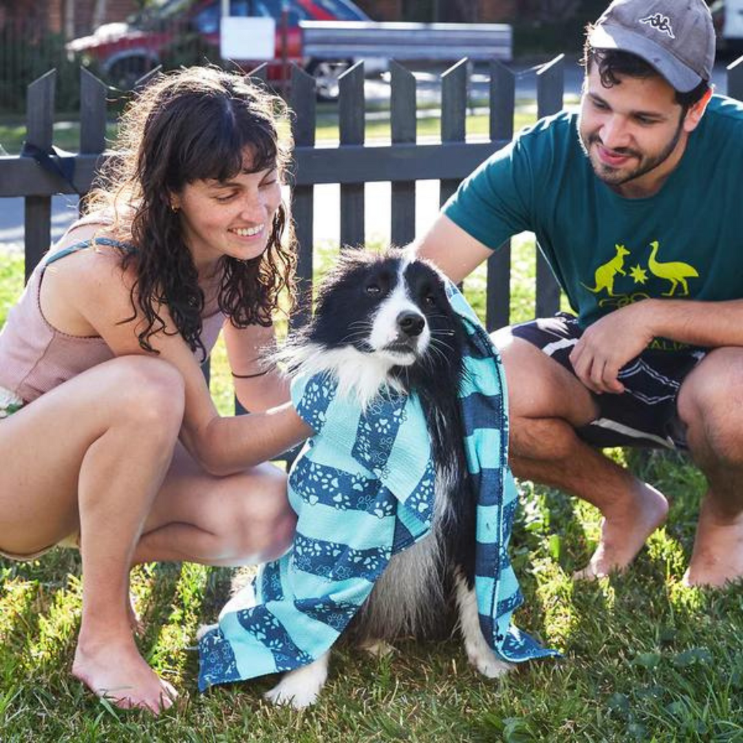 Large dog sales towel