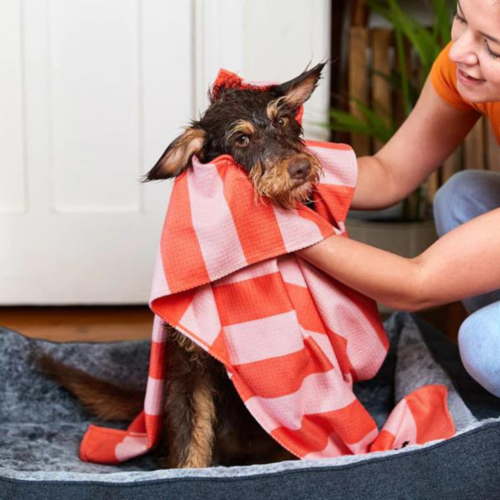 Dock & Bay | Dog Towel Large - Canine Coral | Shut the Front Door
