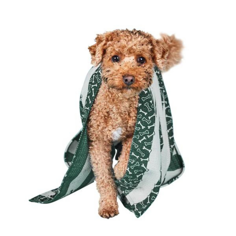 Dock & Bay | Dog Towel Large - Bone Dry | Shut the Front Door