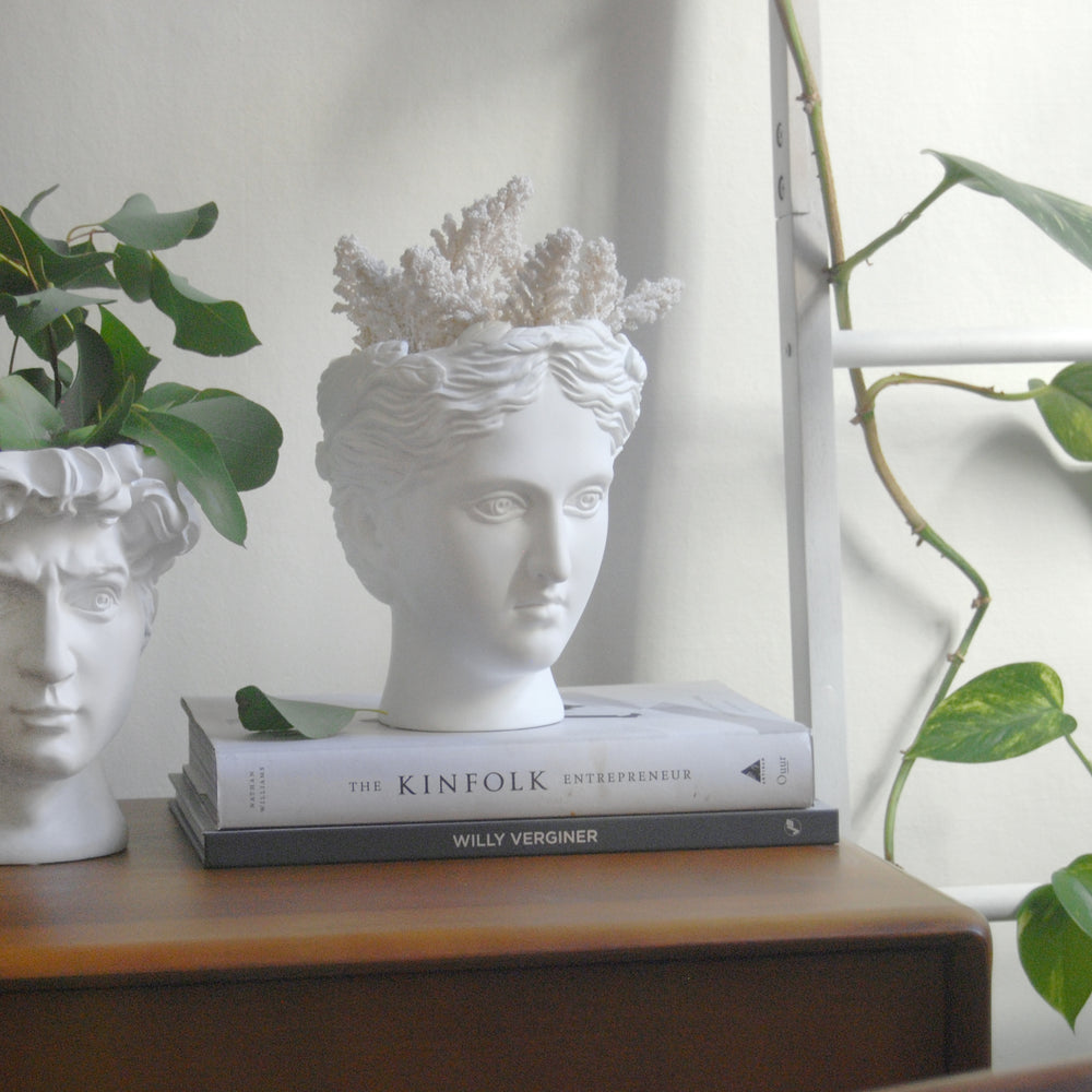 White Moose | Venus Vase/Planter - White | Shut the Front Door