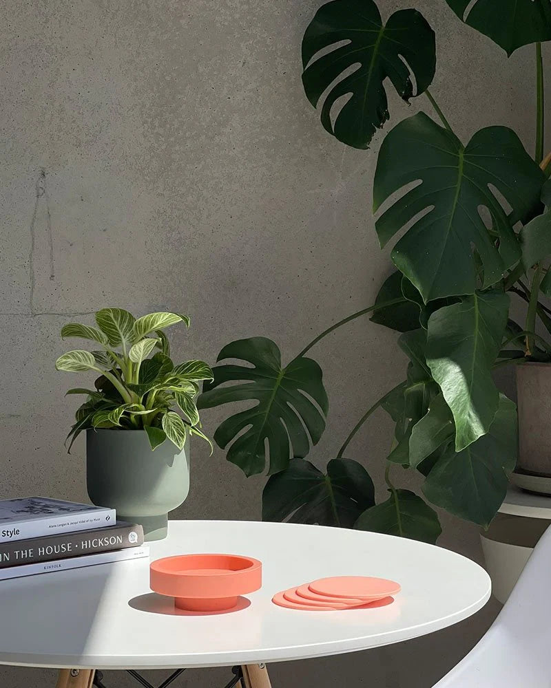 Porter Green | Silicone Coasters - Safi | Shut the Front Door