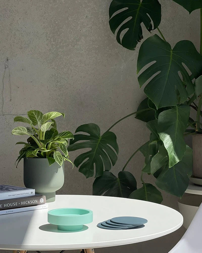 Porter Green | Silicone Coasters - Sorrento | Shut the Front Door