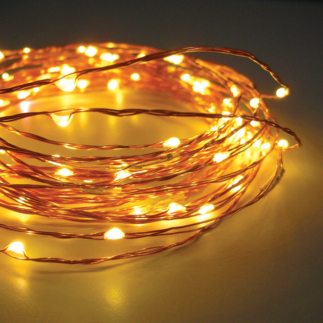 Stellar Haus | 100 LED Seed Light String Copper Warm White USB 10m | Shut the Front Door