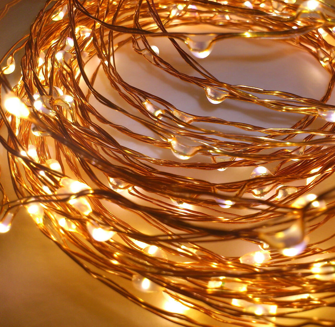 Stellar Haus | 200 LED Seed Light String Copper Warm White Plug 20m | Shut the Front Door