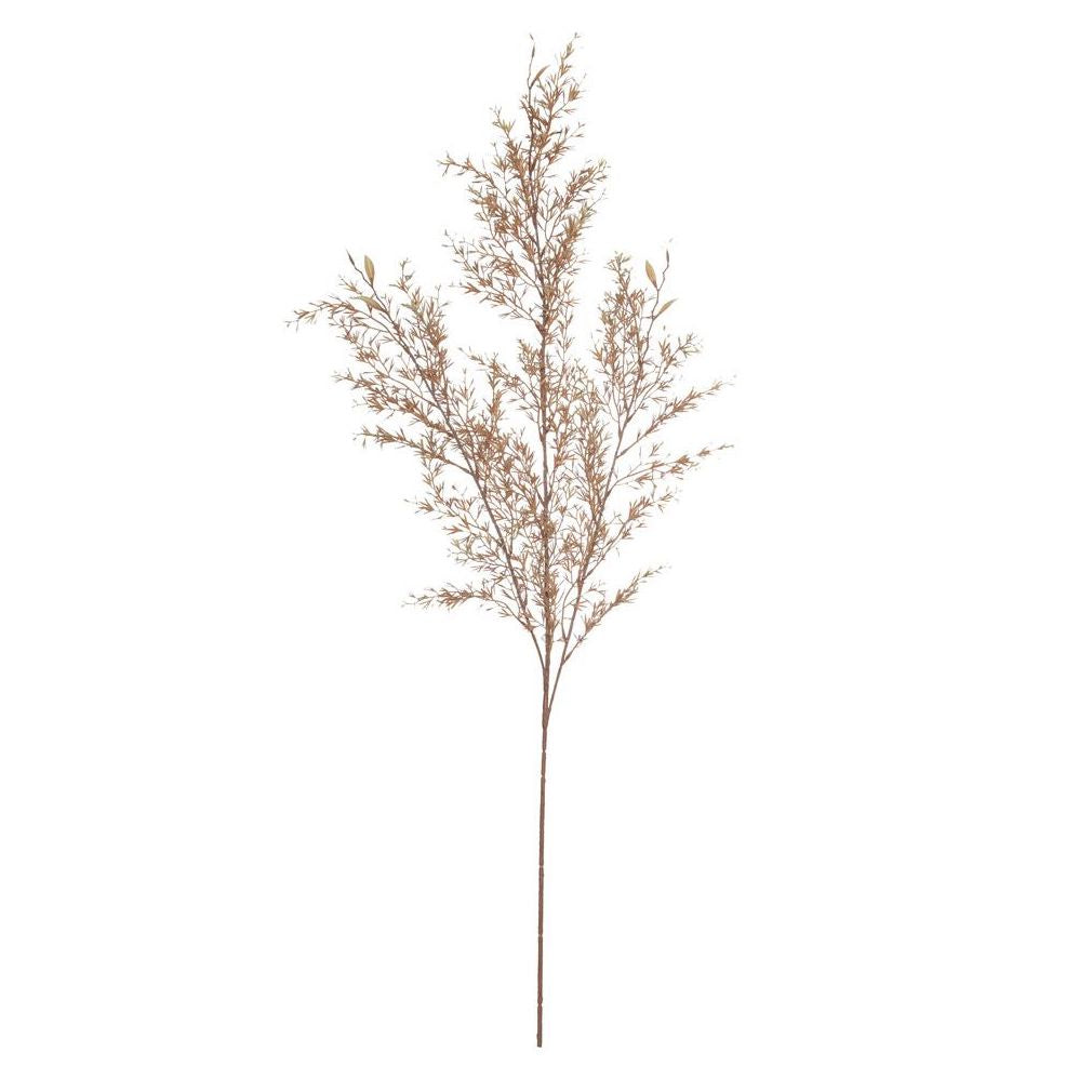 Rogue | Tea Leaf Spray Coral | Shut the Front Door
