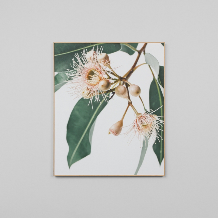 Middle of Nowhere | Framed Canvas Eucalyptus Flower 2 Can | Shut the Front Door