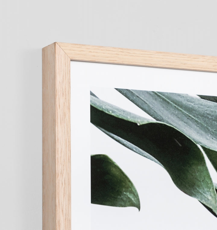 Middle of Nowhere | Framed Print - Monstera Portrait | Shut the Front Door