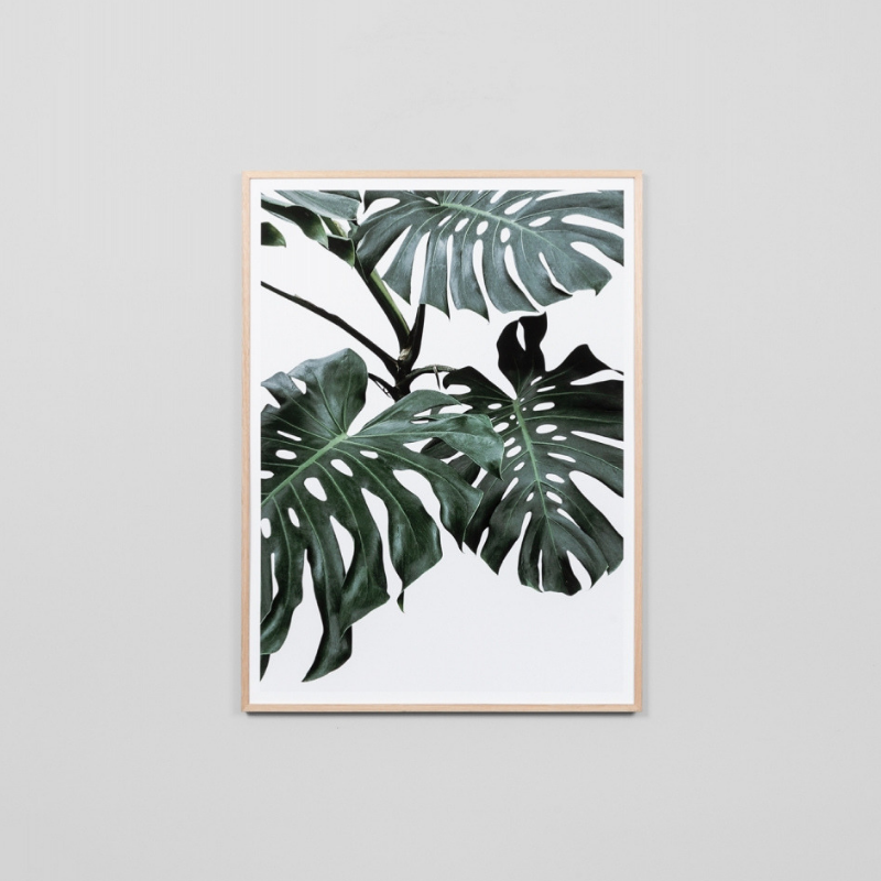 Middle of Nowhere | Monstera Portrait K-Raw | Shut the Front Door