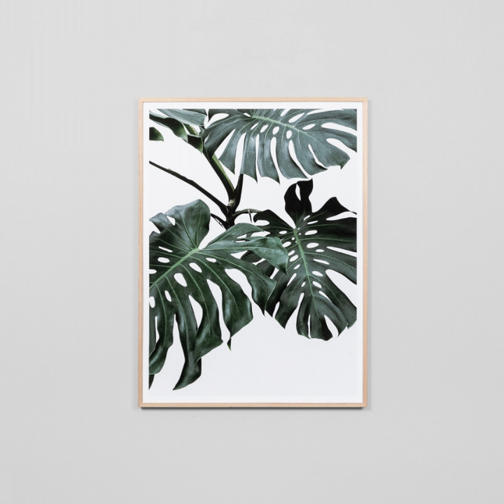 Middle of Nowhere | Monstera Portrait K-Raw | Shut the Front Door