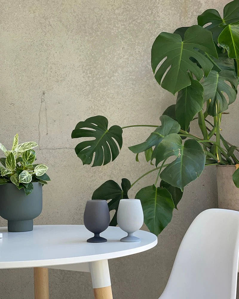 Porter Green | Foldable Stem Wine Glasses - Whitehorse | Shut the Front Door